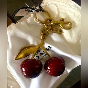 NWT Cherry Coach Charm